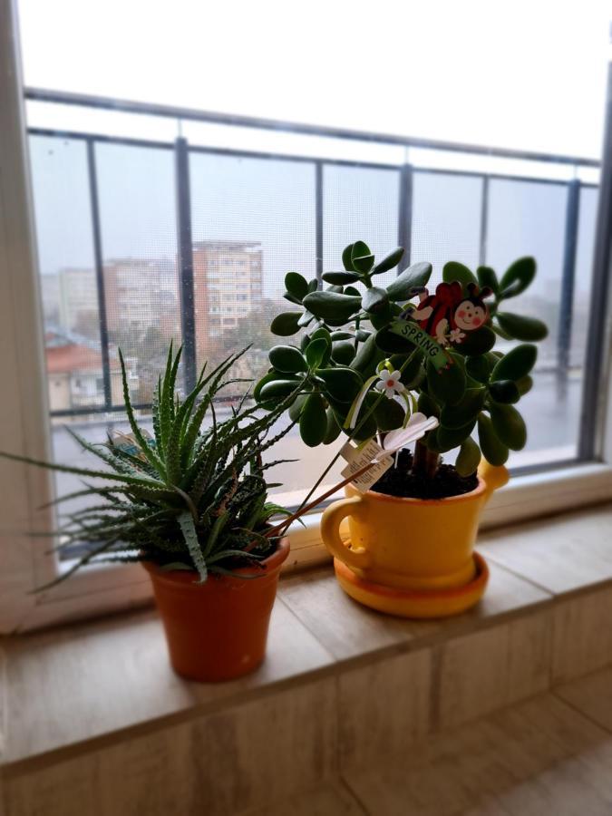 Cozy Apartment アラド エクステリア 写真