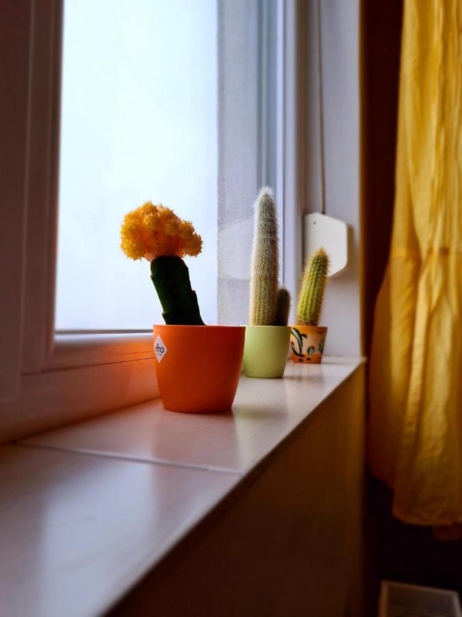 Cozy Apartment アラド エクステリア 写真