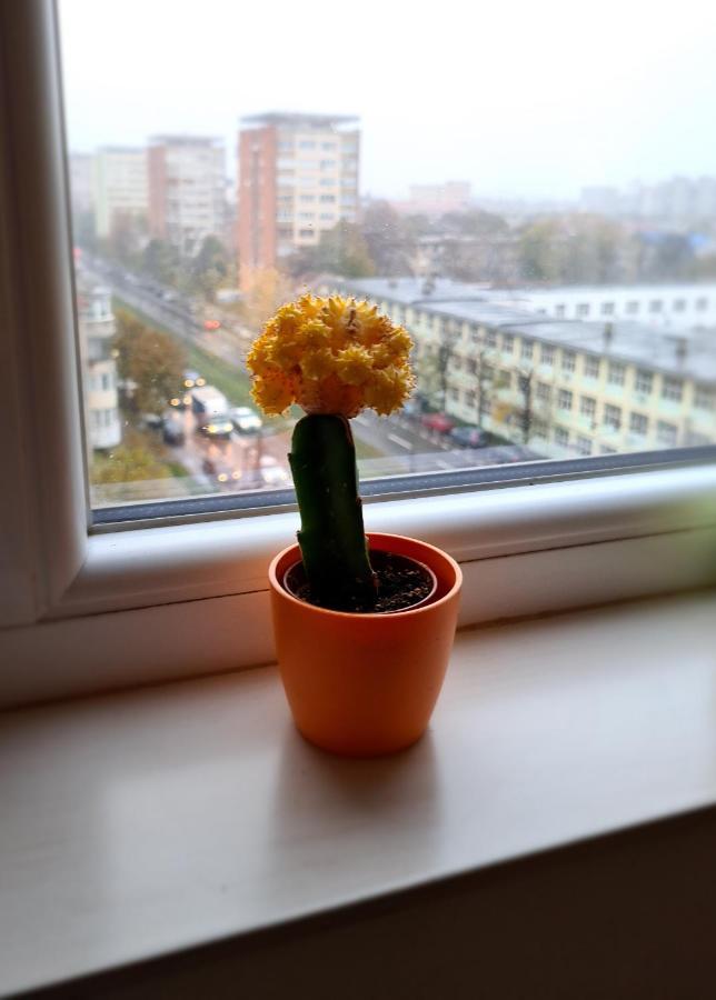 Cozy Apartment アラド エクステリア 写真